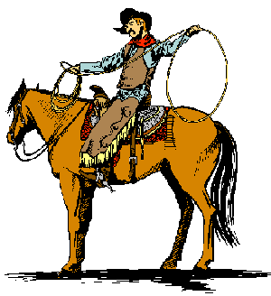 Cowboy Lasso Image